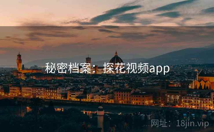 秘密档案：探花视频app