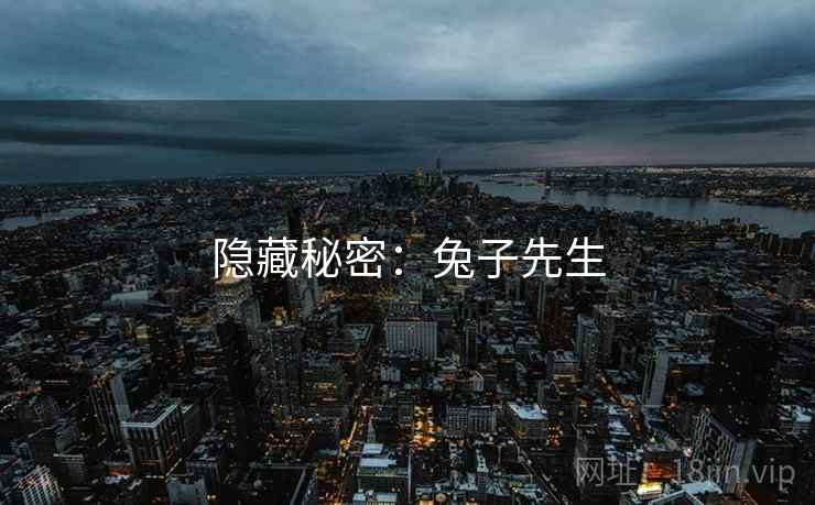 隐藏秘密：兔子先生