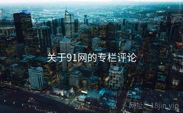 关于91网的专栏评论 关于91网的专栏评论