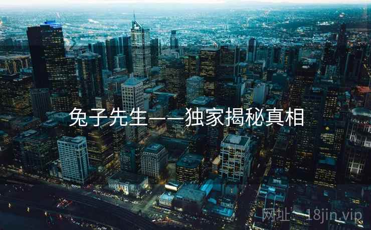 兔子先生——独家揭秘真相