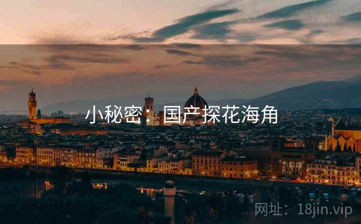 小秘密：国产探花海角