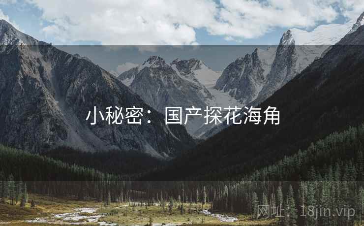 小秘密：国产探花海角