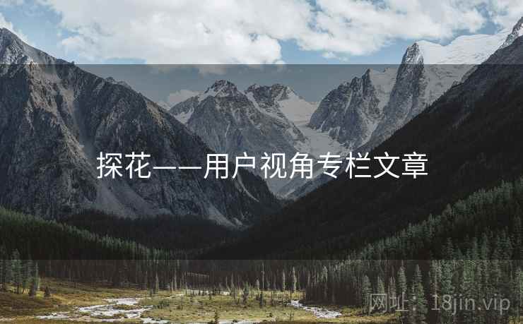 探花——用户视角专栏文章
