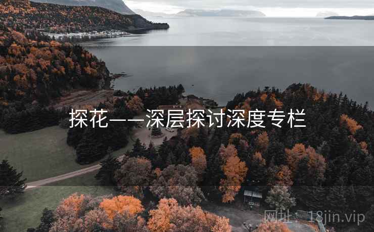 探花——深层探讨深度专栏