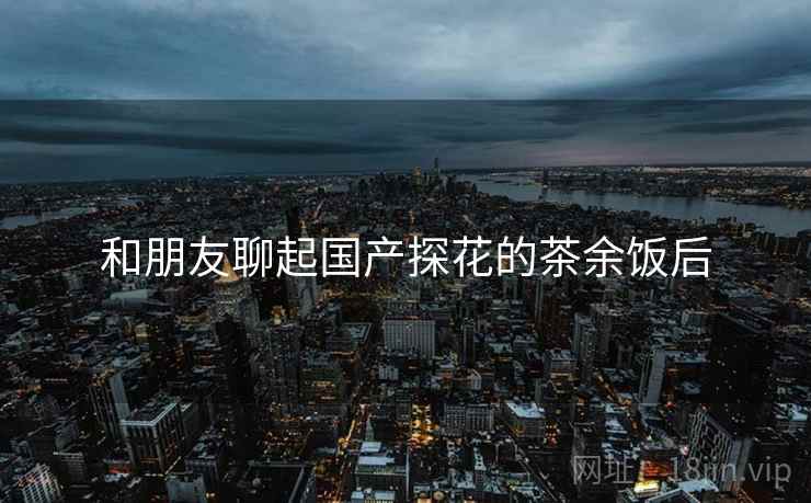 和朋友聊起国产探花的茶余饭后 和朋友聊起国产探花的茶余饭后
