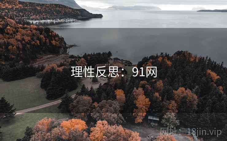 理性反思：91网