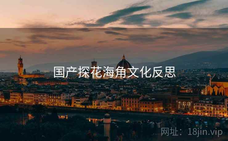 国产探花海角文化反思 国产探花海角文化反思