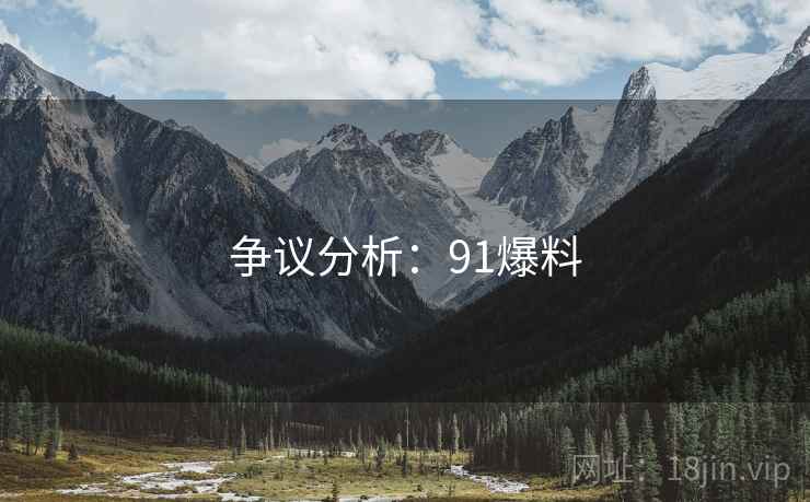 争议分析:91爆料 争议分析:91爆料