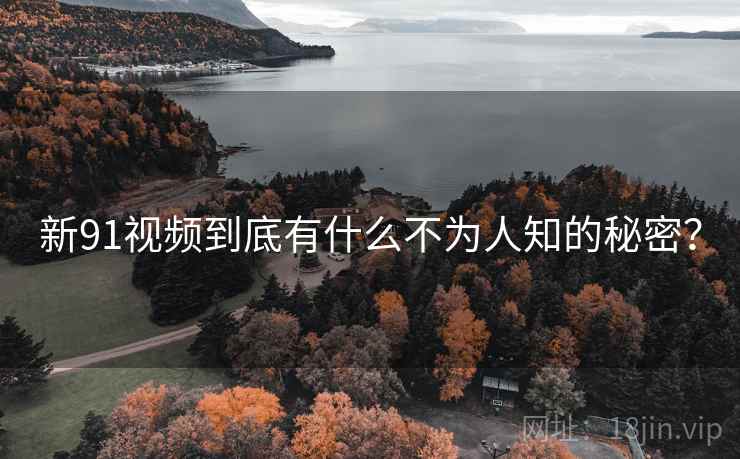 新91视频到底有什么不为人知的秘密？