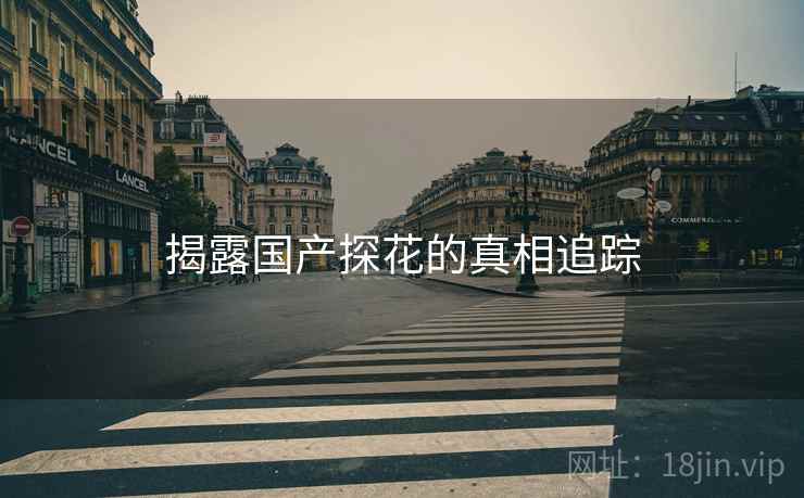 揭露国产探花的真相追踪