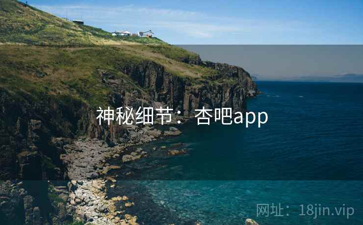 神秘细节：杏吧app