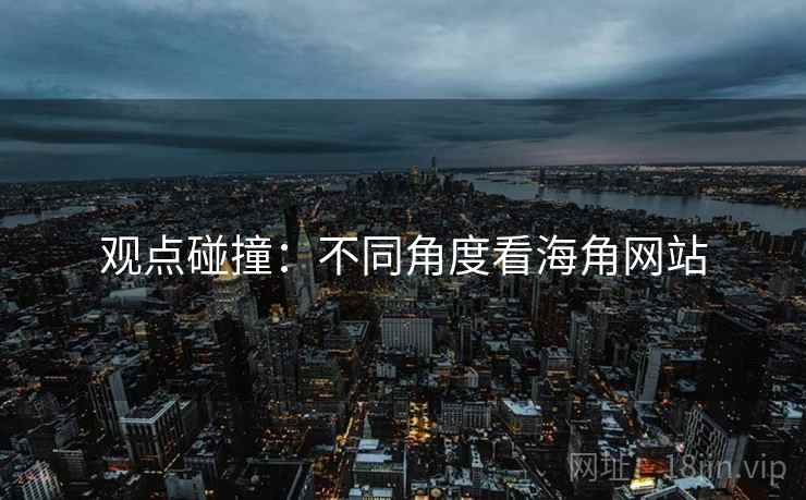 观点碰撞：不同角度看海角网站