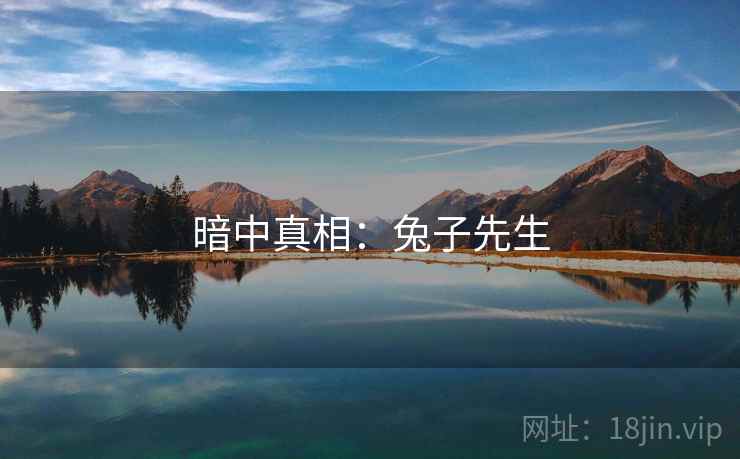 暗中真相：兔子先生