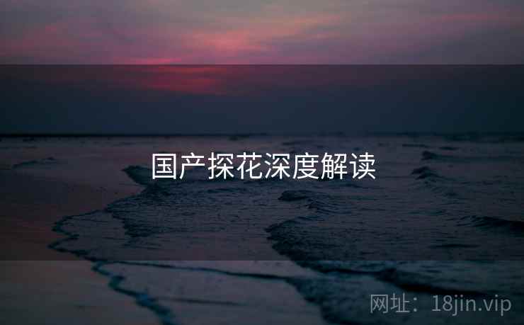国产探花深度解读